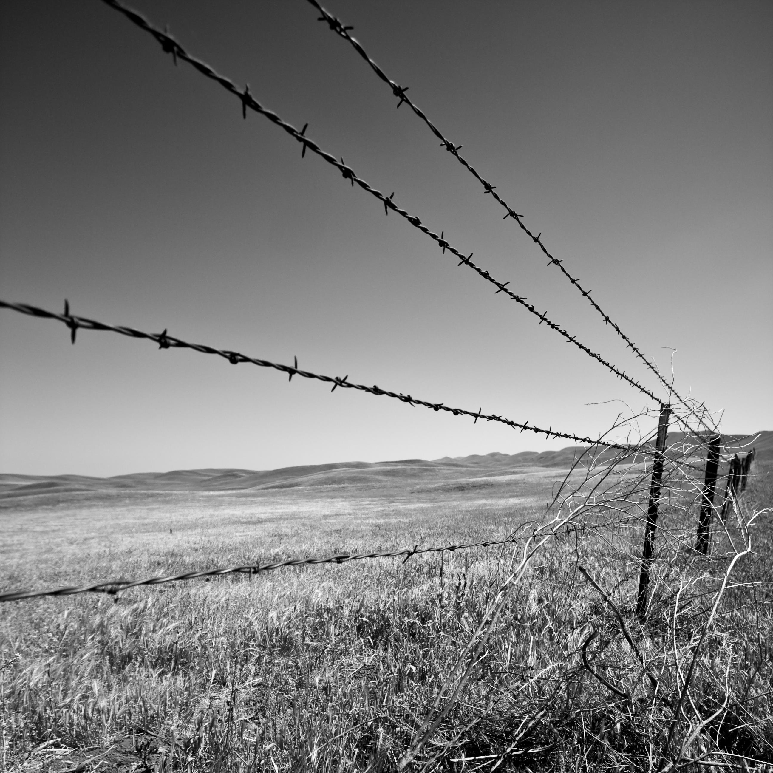 Barbed wire fence